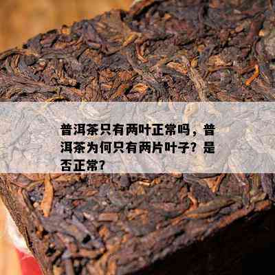 普洱茶只有两叶正常吗，普洱茶为何只有两片叶子？是不是正常？