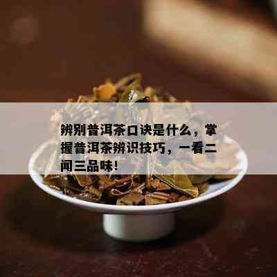 辨别普洱茶口诀是什么，掌握普洱茶辨识技巧，一看二闻三品味！