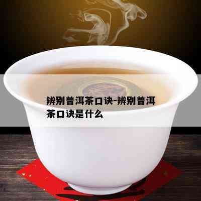 辨别普洱茶口诀-辨别普洱茶口诀是什么