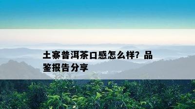 土寨普洱茶口感怎么样？品鉴报告分享