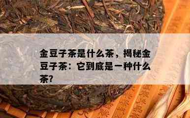 金豆子茶是什么茶，揭秘金豆子茶：它到底是一种什么茶？