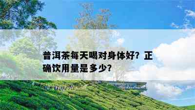 普洱茶每天喝对身体好？正确饮用量是多少？