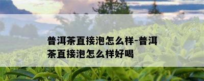 普洱茶直接泡怎么样-普洱茶直接泡怎么样好喝