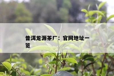 普洱龙源茶厂：官网地址一览