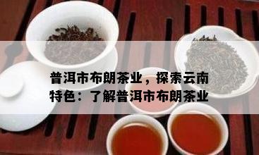 普洱市布朗茶业，探索云南特色：熟悉普洱市布朗茶业