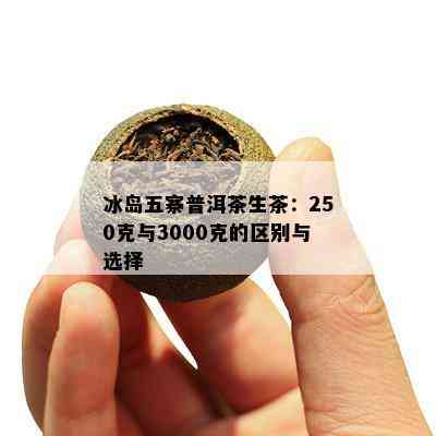 冰岛五寨普洱茶生茶：250克与3000克的区别与选择