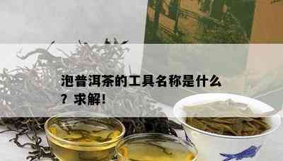 泡普洱茶的工具名称是什么？求解！