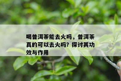 喝普洱茶能去火吗，普洱茶真的可以去火吗？探讨其功效与作用