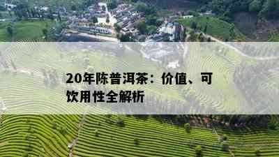 20年陈普洱茶：价值、可饮用性全解析