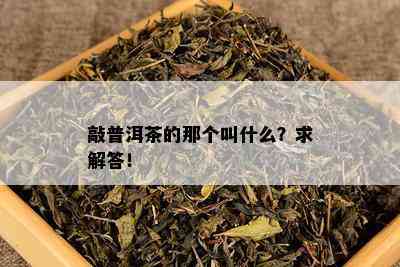 敲普洱茶的那个叫什么？求解答！