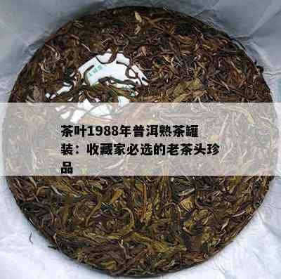 茶叶1988年普洱熟茶罐装：收藏家必选的老茶头珍品