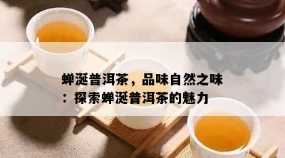 蝉涎普洱茶，品味自然之味：探索蝉涎普洱茶的魅力