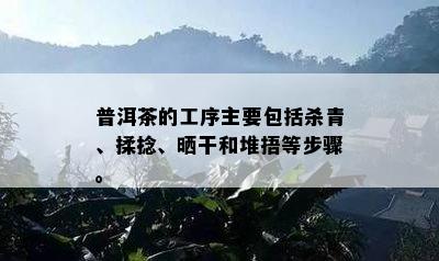 普洱茶的工序主要包含杀青、揉捻、晒干和堆捂等步骤。