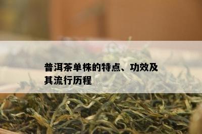 普洱茶单株的特点、功效及其流行历程