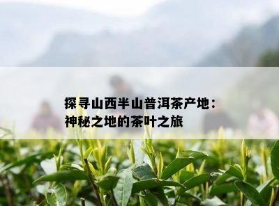 探寻山西半山普洱茶产地：神秘之地的茶叶之旅