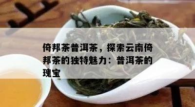 倚邦茶普洱茶，探索云南倚邦茶的独特魅力：普洱茶的瑰宝