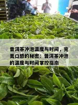 普洱茶冲泡温度与时间，完美口感的秘密：普洱茶冲泡的温度与时间掌控指南