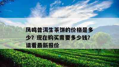 凤鸣普洱生茶饼的价格是多少？现在购买需要多少钱？请看最新报价