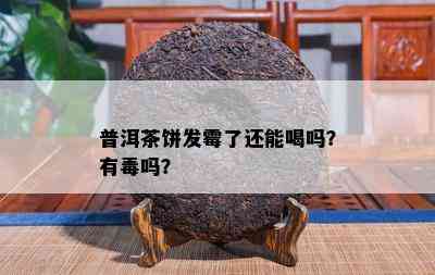 普洱茶饼发霉了还能喝吗？有吗？