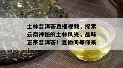 土林普洱茶直播视频，探索云南神秘的土林风光，品味正宗普洱茶！直播间等你来！