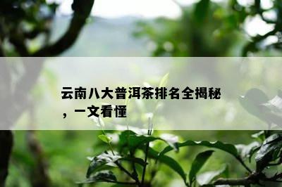 云南八大普洱茶排名全揭秘，一文看懂