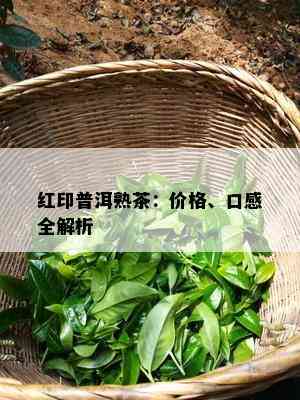 红印普洱熟茶：价格、口感全解析