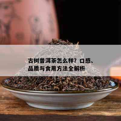 古树普洱茶怎么样？口感、品质与食用方法全解析