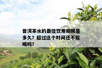 普洱茶水的更佳饮用期限是多久？超过这个时间还不能喝吗？