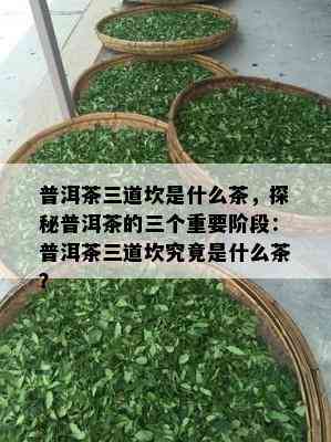 普洱茶三道坎是什么茶，探秘普洱茶的三个关键阶段：普洱茶三道坎究竟是什么茶？