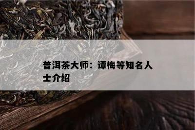 普洱茶大师：谭梅等知名人士介绍