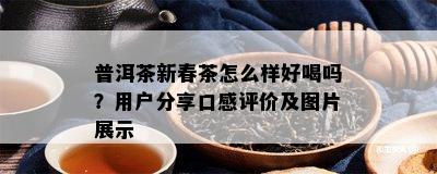 普洱茶新春茶怎么样好喝吗？客户分享口感评价及图片展示