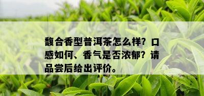 馥合香型普洱茶怎么样？口感如何、香气是否浓郁？请品尝后给出评价。