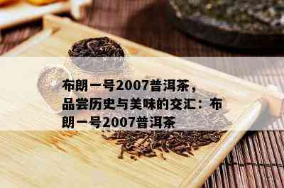 布朗一号2007普洱茶，品尝历史与美味的交汇：布朗一号2007普洱茶