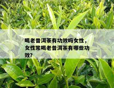 喝老普洱茶有功效吗女性，女性常喝老普洱茶有哪些功效？