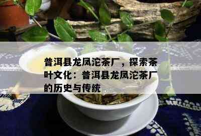 普洱县龙凤沱茶厂，探索茶叶文化：普洱县龙凤沱茶厂的历史与传统