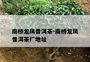 南桥龙凤普洱茶-南桥龙凤普洱茶厂地址