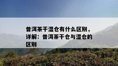 普洱茶干湿仓有什么区别，详解：普洱茶干仓与湿仓的区别