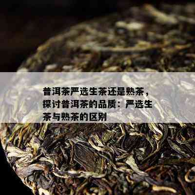 普洱茶严选生茶还是熟茶，探讨普洱茶的品质：严选生茶与熟茶的区别