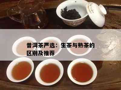 普洱茶严选：生茶与熟茶的区别及推荐