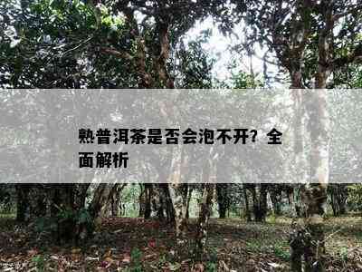 熟普洱茶是不是会泡不开？全面解析