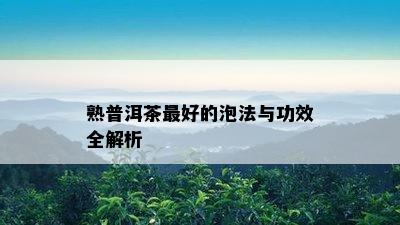 熟普洱茶更好的泡法与功效全解析