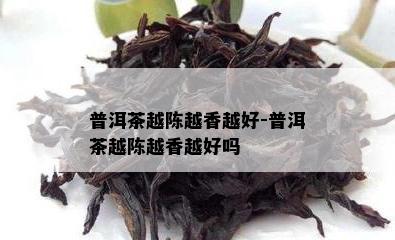 普洱茶越陈越香越好-普洱茶越陈越香越好吗