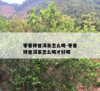 枣香砖普洱茶怎么喝-枣香砖普洱茶怎么喝才好喝