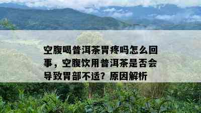 空腹喝普洱茶胃疼吗怎么回事，空腹饮用普洱茶是不是会引起胃部不适？起因解析