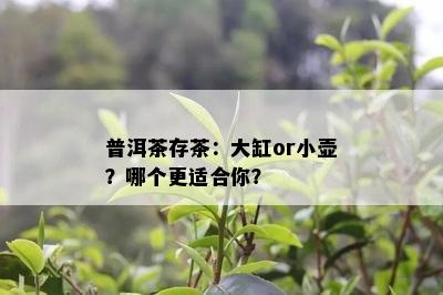 普洱茶存茶：大缸or小壶？哪个更适合你？