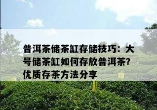 普洱茶储茶缸存储技巧：大号储茶缸怎样存放普洱茶？优质存茶方法分享