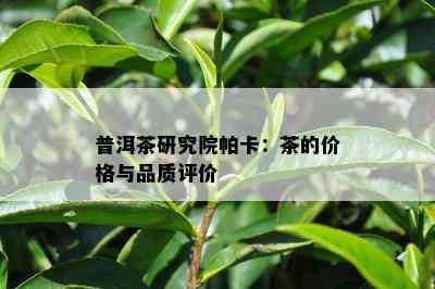 普洱茶研究院帕卡：茶的价格与品质评价