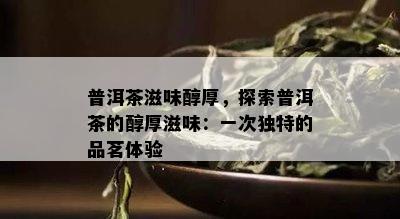 普洱茶滋味醇厚，探索普洱茶的醇厚滋味：一次特别的品茗体验