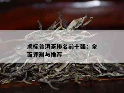 虎标普洱茶排名前十强：全面评测与推荐