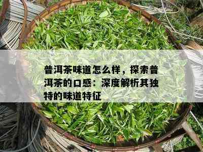 普洱茶味道怎么样，探索普洱茶的口感：深度解析其特别的味道特征